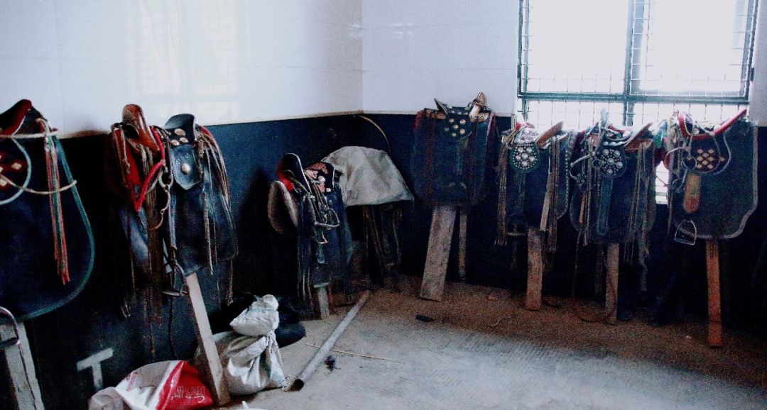 马匹用具介绍,马匹种类介绍