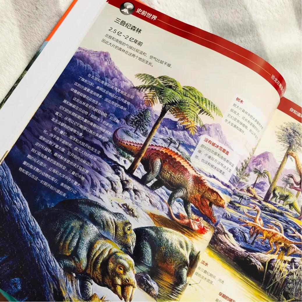 恐龙大比拼动画,恐龙大比拼视频