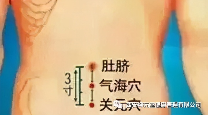 命门穴位的准确按摩视频,成人命门穴推拿手法