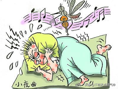 炎炎夏日防止蚊虫叮咬,专家警告夏天一定要严防蚊虫叮咬