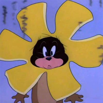 浓郁色调中性风高级店铺分享女生,美式小众风店铺