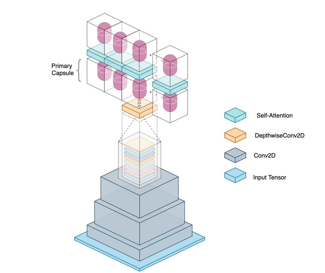 仅需原始参数的2%，全新胶囊网络效果依然「强势」