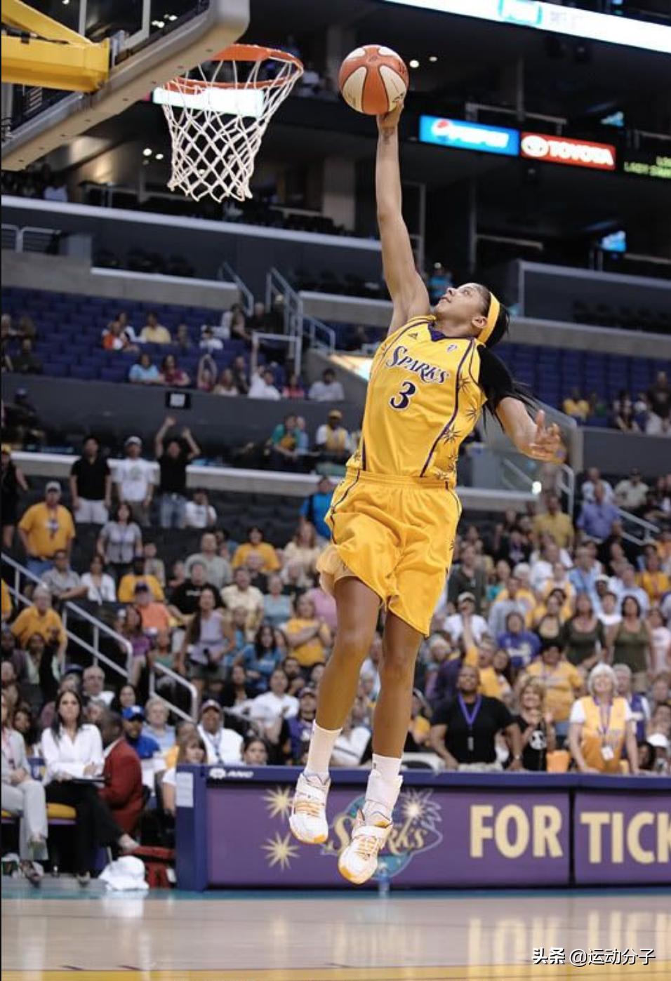 男女力量差距能有多悬殊,男女之间的力量差距有多大