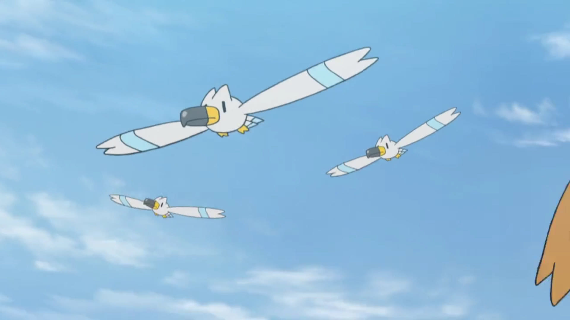 小智没有收服的火系御三家,小智没有收服的宝可梦