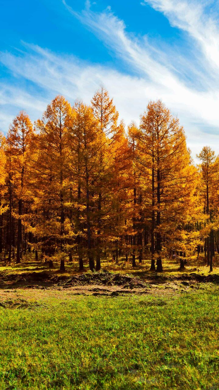 新教师岗前培训开营仪式讲话,新教师培训会上领导讲话