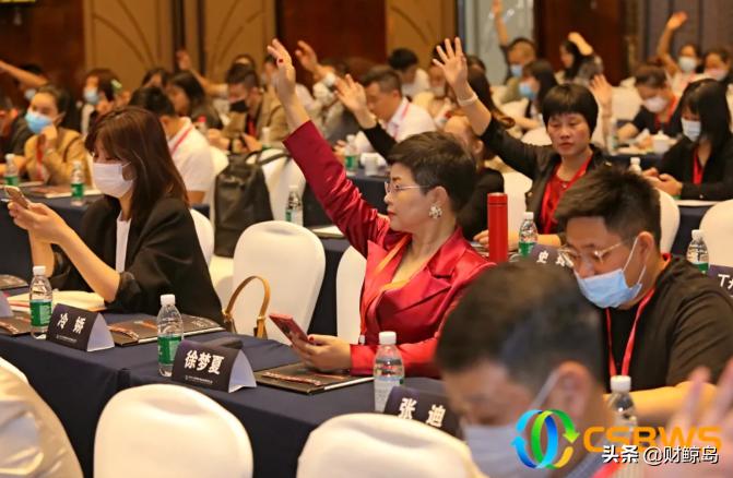 中国财富峰会最新进展,2023年中国财富峰会