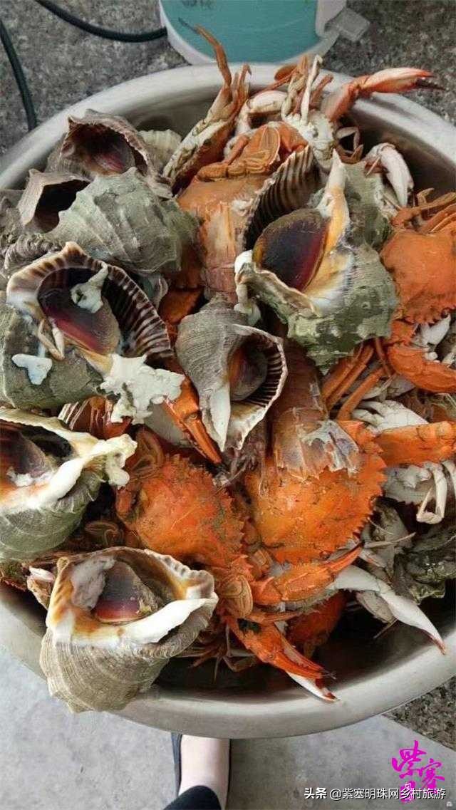 当美食邂逅大海，浪漫夏季让您尝遍乐亭味道--唐山乐亭韩姐农家院