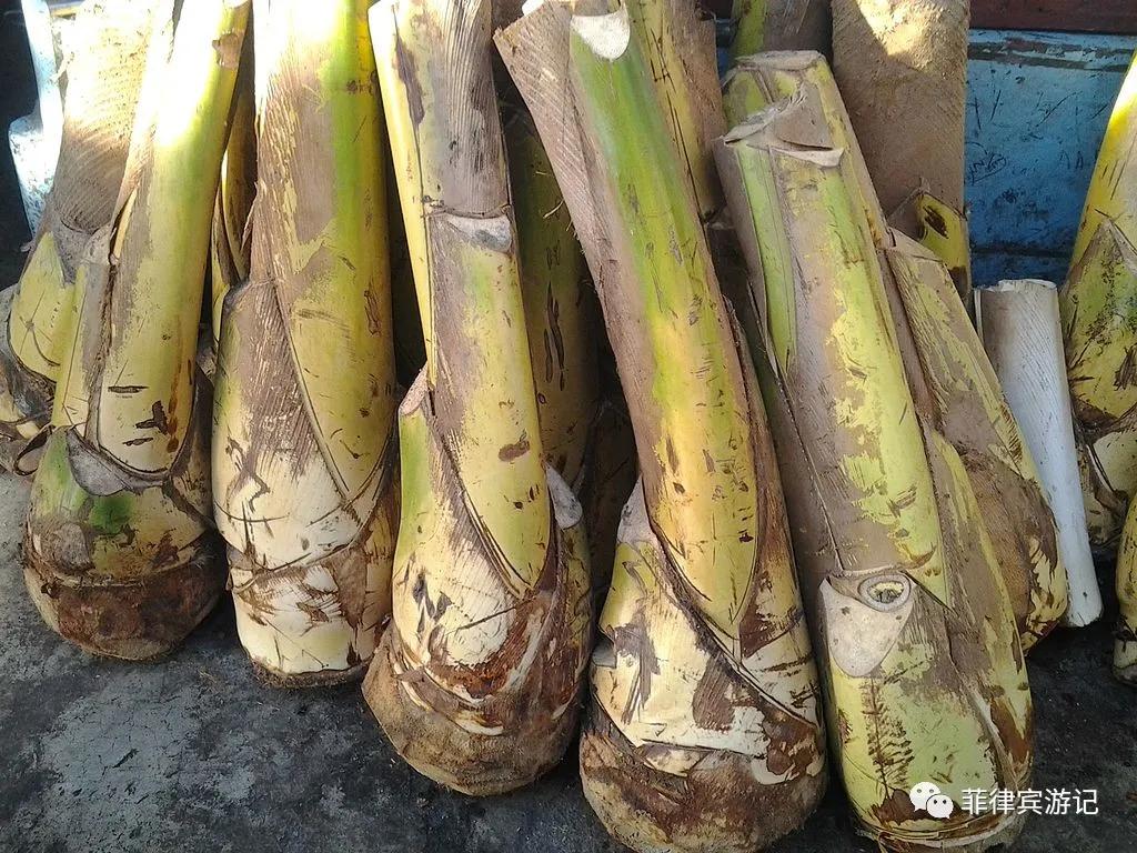 菲律宾青菜价格表,菲律宾蔬菜为什么那么贵