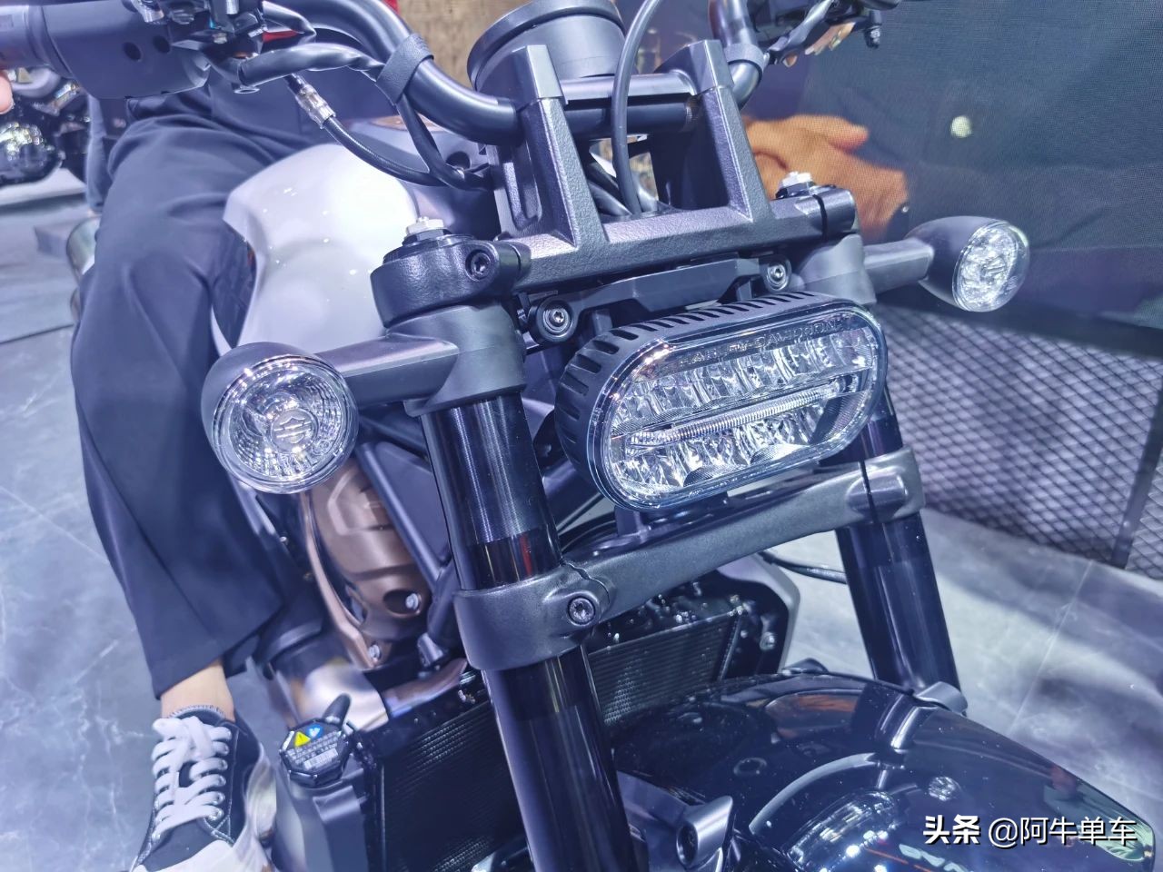 摩博会|哈雷SportsterS正式发售：159800元，就问你香不香