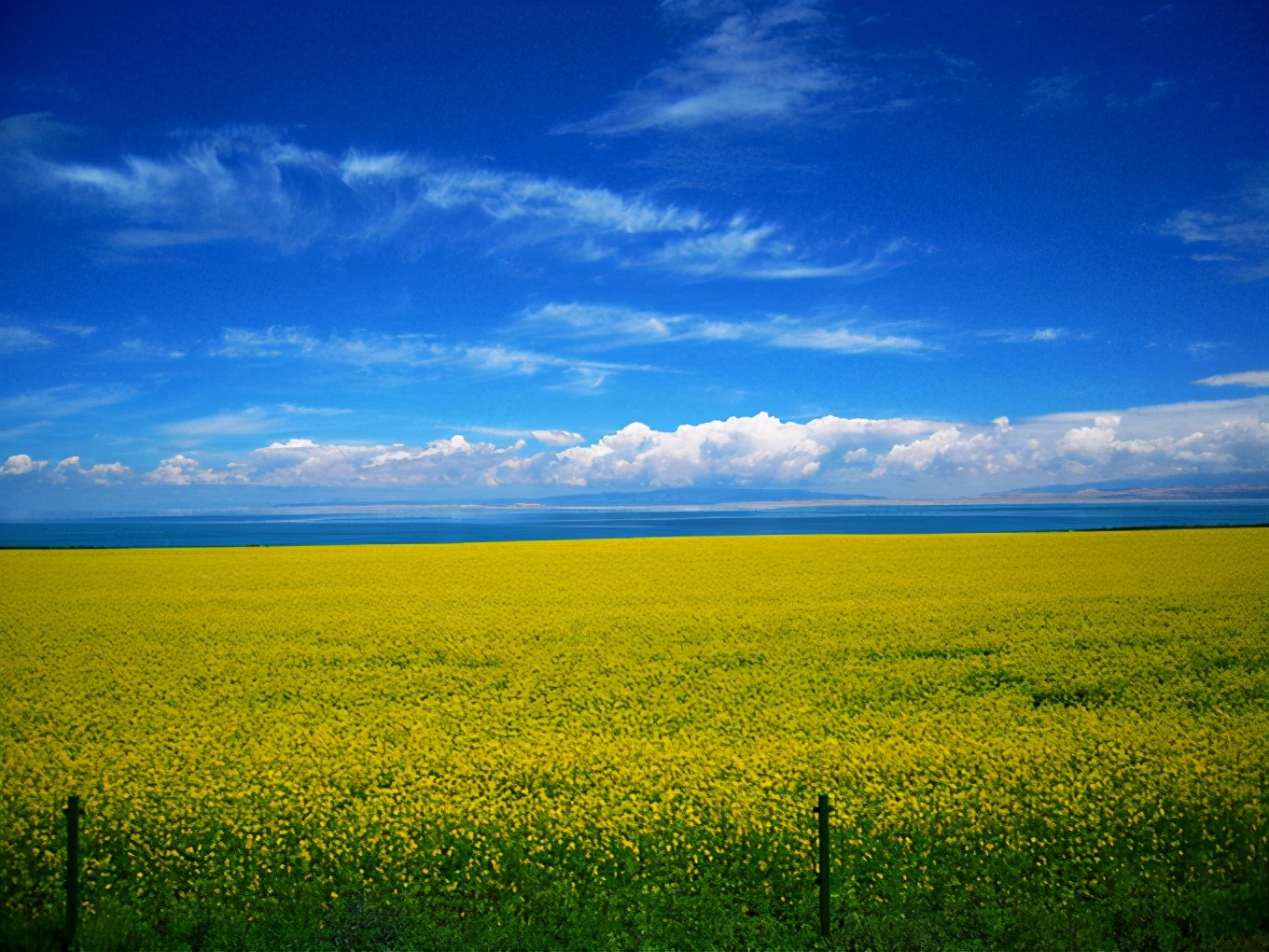 七八月份青海湖旅游攻略图集大全,青海湖7月攻略