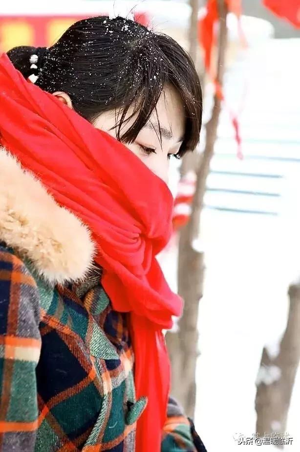 雪后的临沭小城，美得令人窒息