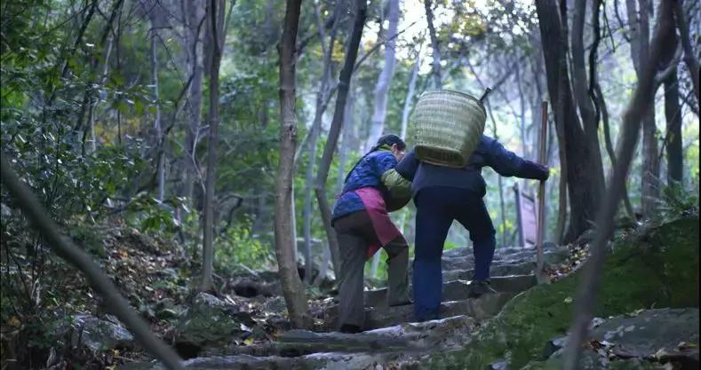 这组照片拍得很有意境,最震撼人心的一组照片爱情