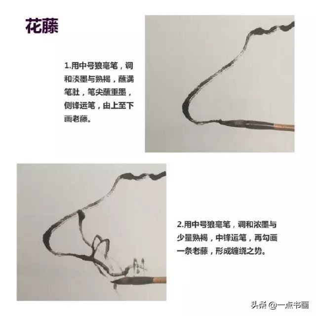 春天来了一起赏花图片,春天来了一起画个小燕子