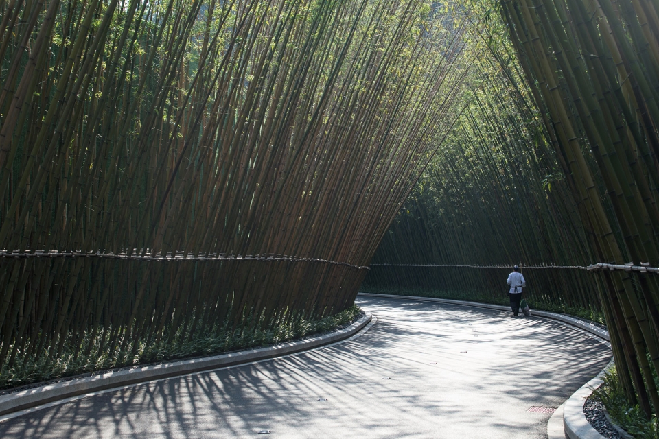 万科17英里什么价格,万科17英里海滨栈道