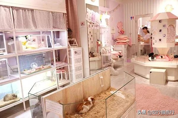 大阪小众景点,去大阪注意事项