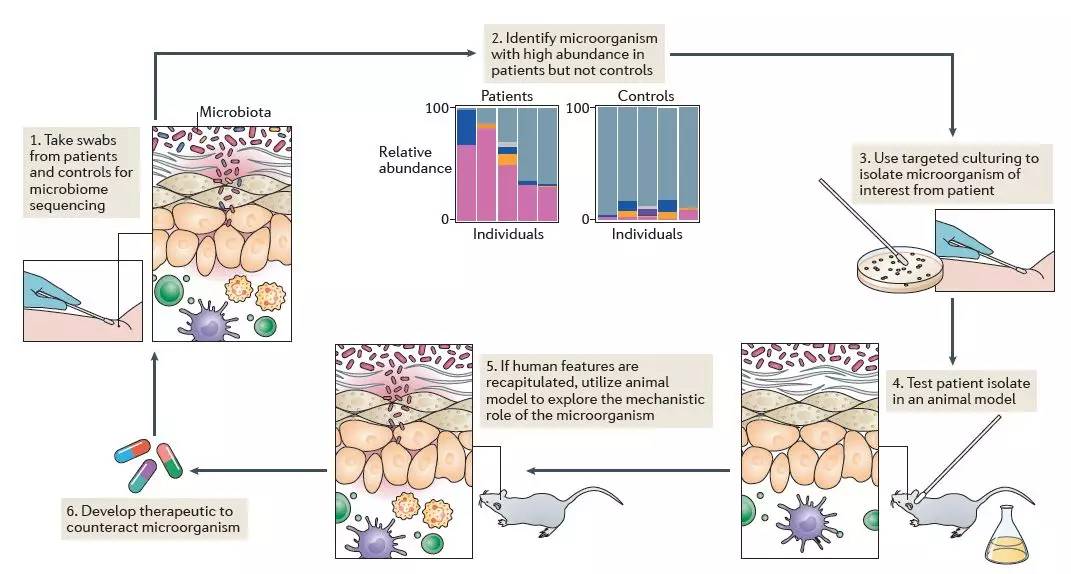 青春期长痘有必要涂药膏吗,青春期长痘可以涂药膏吗