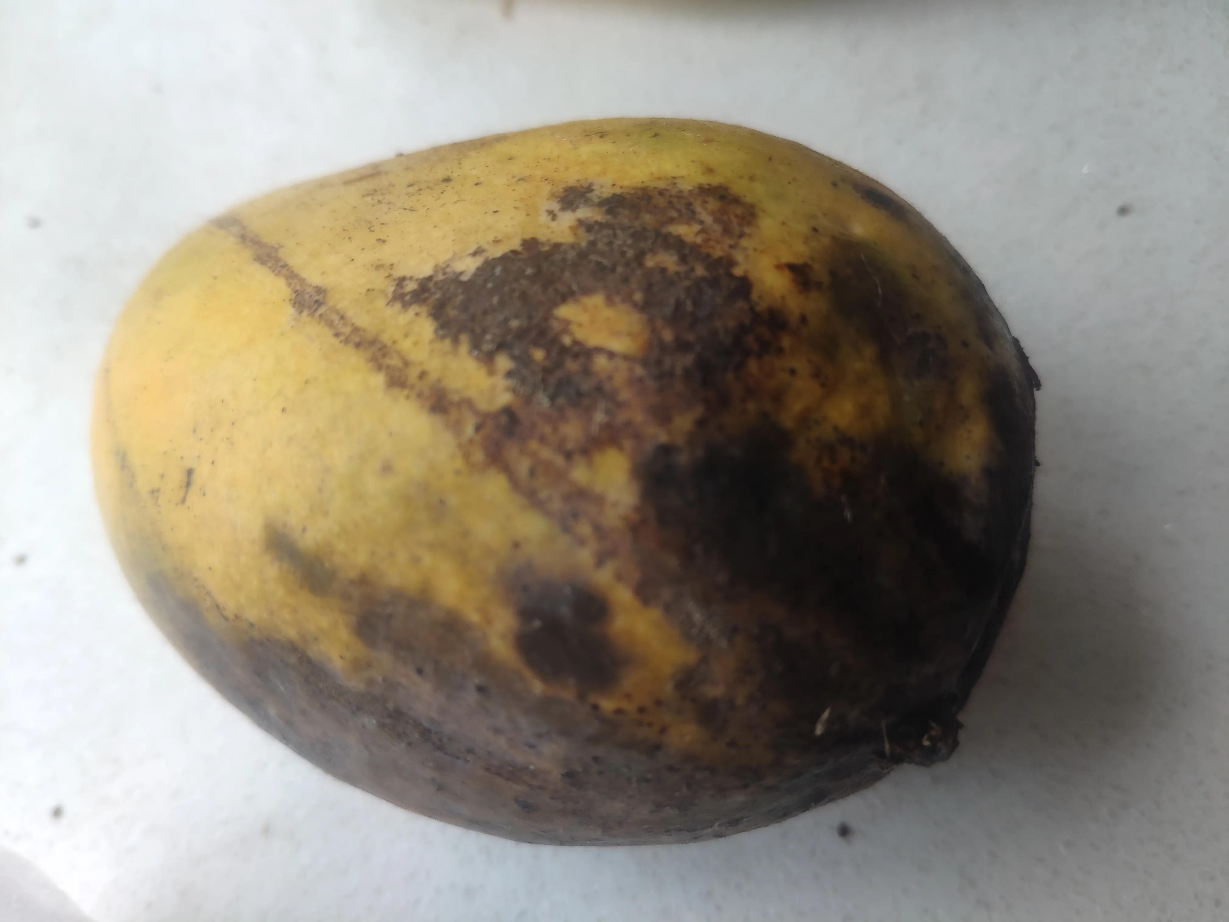 网上购买水果苹果哪家最好,水果app网上订购