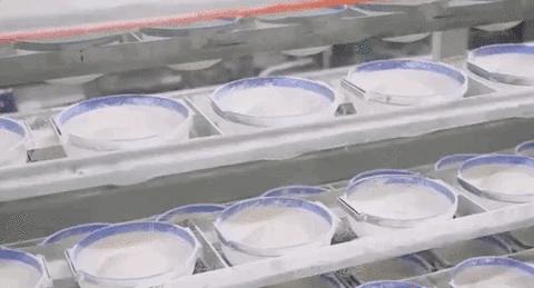 机械面包,面包生产线做面包的方法