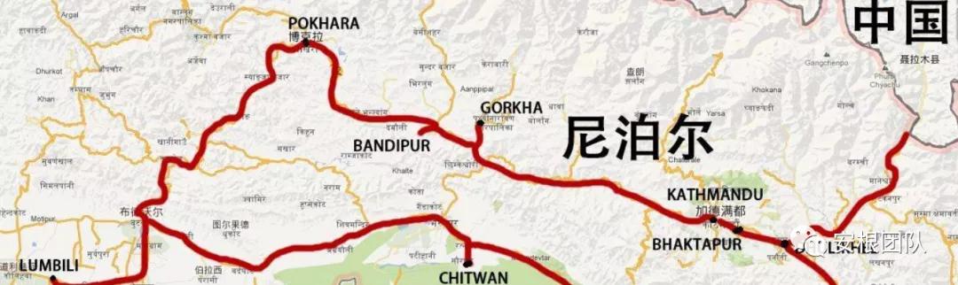 尼泊尔佛茶,尼泊尔高山茶