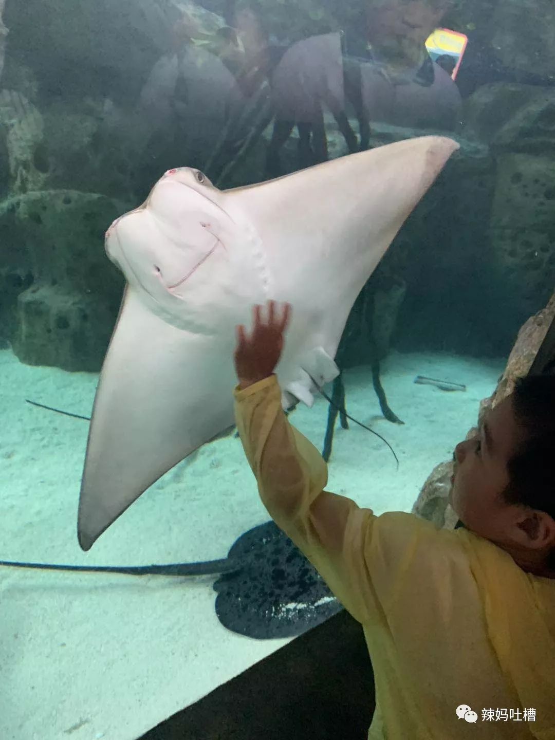 珠海长隆企鹅海洋王国攻略,珠海长隆海洋王国攻略2天亲子游