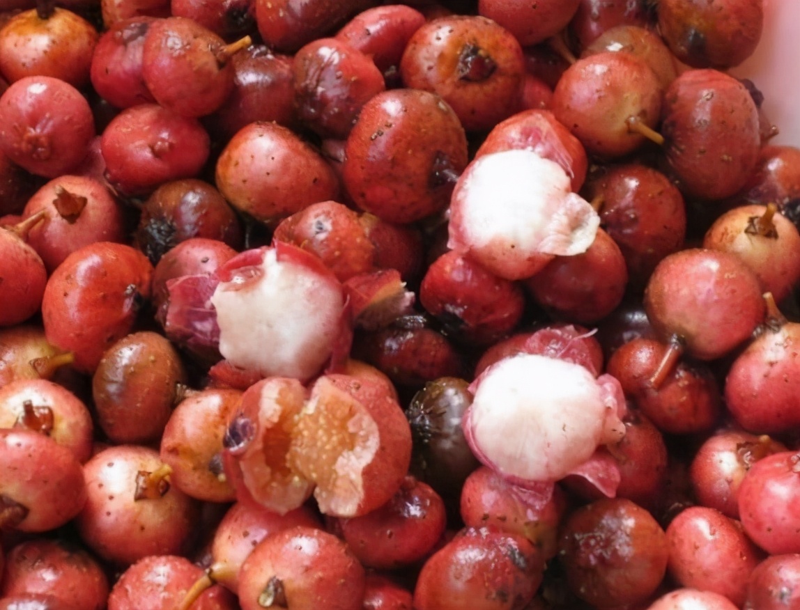 农村山上有美味的野果成熟,春天爬山找小时候吃的野果