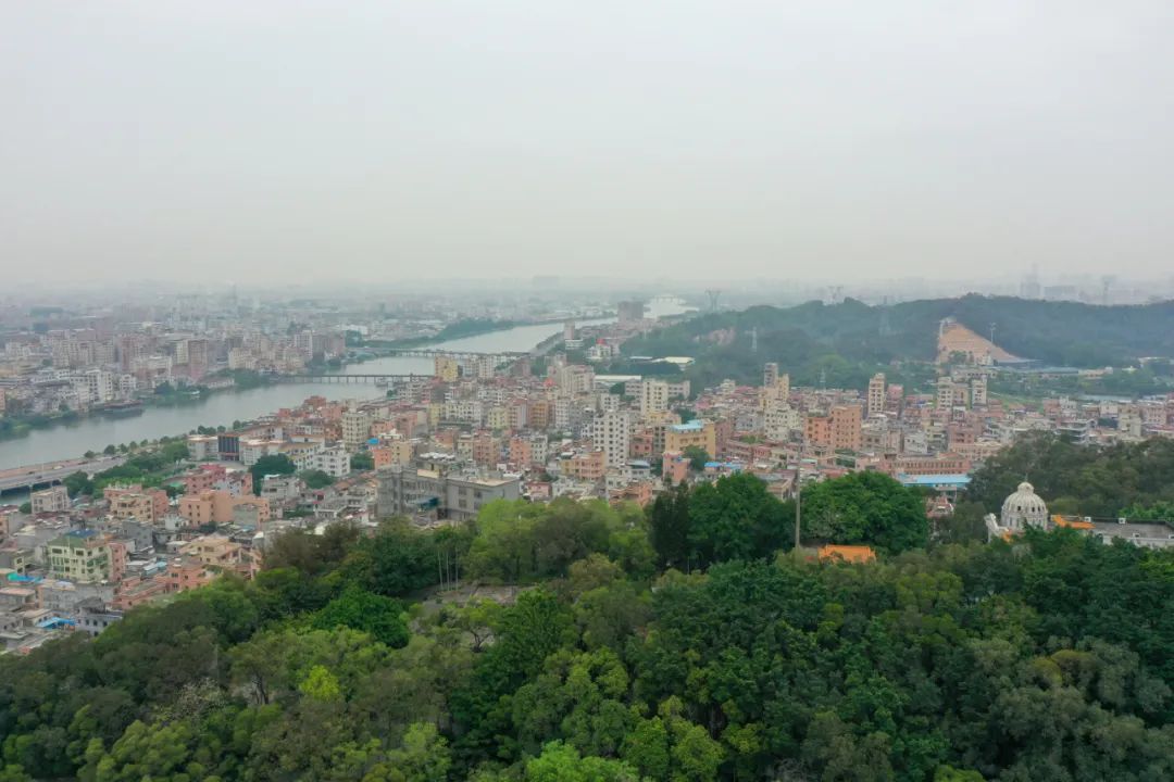 因为《寻味东莞》和岭南这家奢雅风洲际酒店，我特地去了一趟东莞
