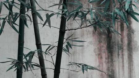 关于教师节的古诗词和名言,教师节感恩老师的经典古诗词