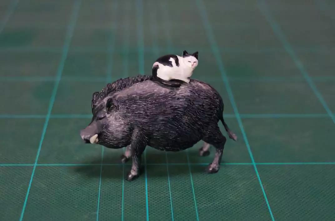 动物表情包沙雕魔性,沙雕动物爆笑瞬间表情包