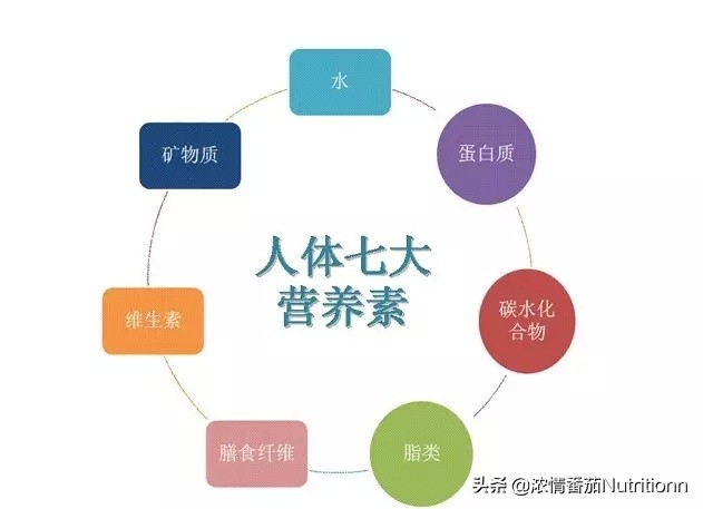 婴儿奶粉正确的配制及喂养方法,婴幼儿奶粉营养品知识讲解