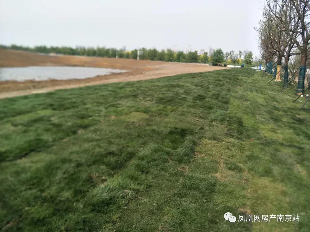 世纪金源新地块,南京世纪金源地块