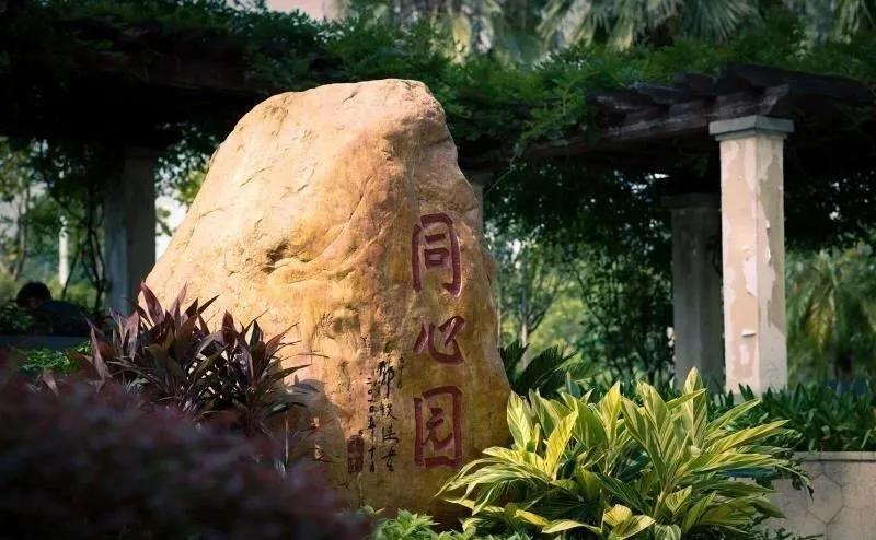 华南最强医院排名,广州医疗在全球是什么水平