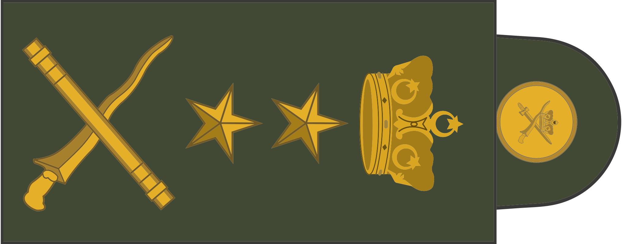 各国军衔标识韩国,马来西亚军衔等级对照表