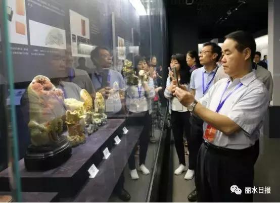 红色新丽水,红色浙西南央视