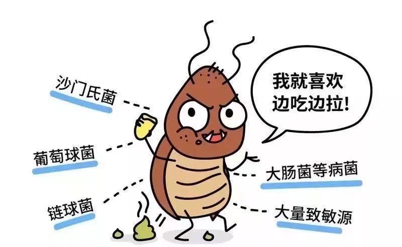 为什么把蟑螂踩死蟑螂会越来越多,涨知识野火烧不尽