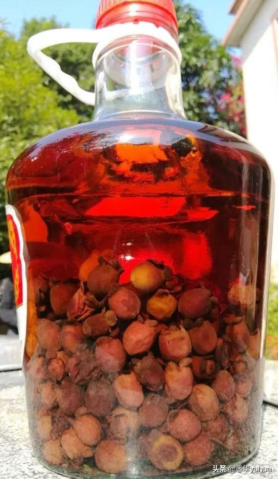 稔子酒的制作方法功效,广东制作稔子酒的泡法