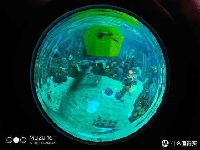 日本pitta口罩,日本买口罩用什么软件