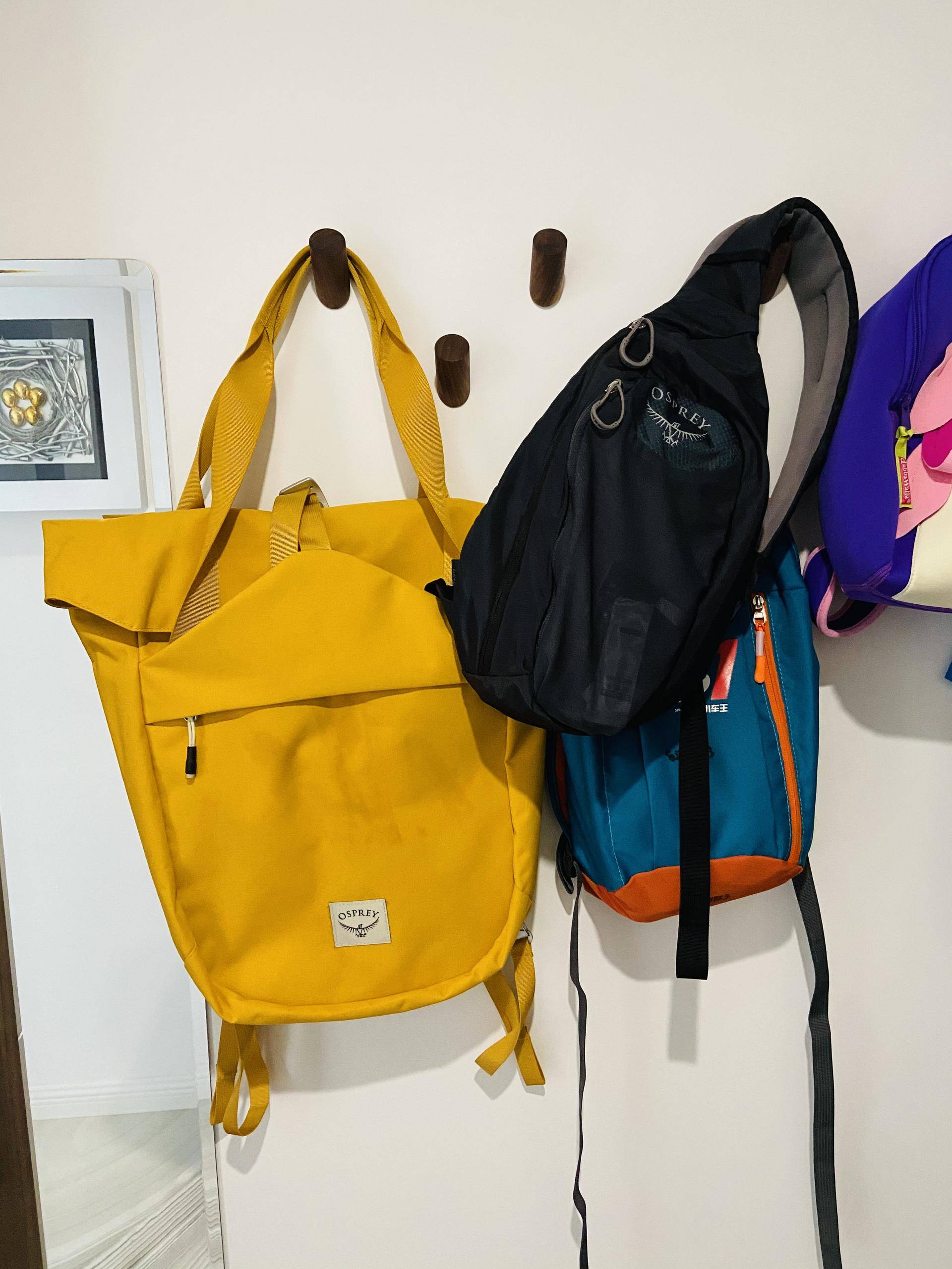 上海荔枝杯平衡车视频比赛 (荔枝杯宁波站平衡车比赛现场)