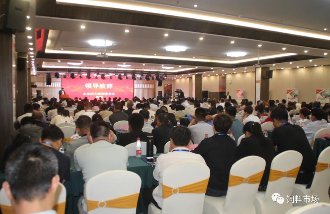 山东活力集团,长清区活力集团