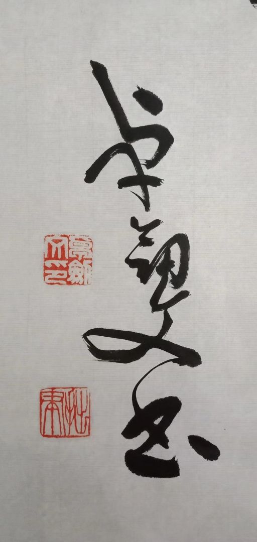 卓剑文是海南书法大家吗,卓剑文草书