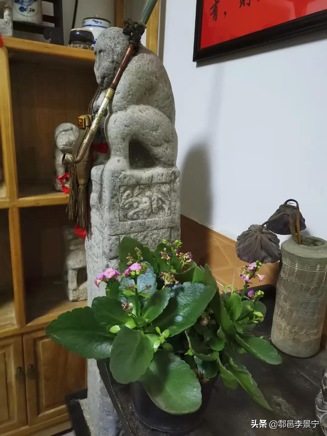 题秦岭诗句,题秦岭