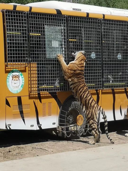 哈尔滨海拉尔呼伦贝尔旅游游记,哈尔滨漠河满洲里旅游攻略