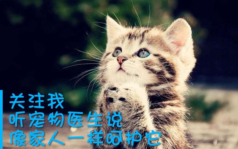 狗木糖醇中毒会口渴吗,木糖醇狗吃多少会中毒