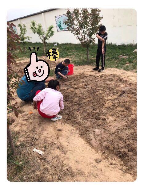 超生的孩子能读公办小学吗,乡村小学与城市小学区别