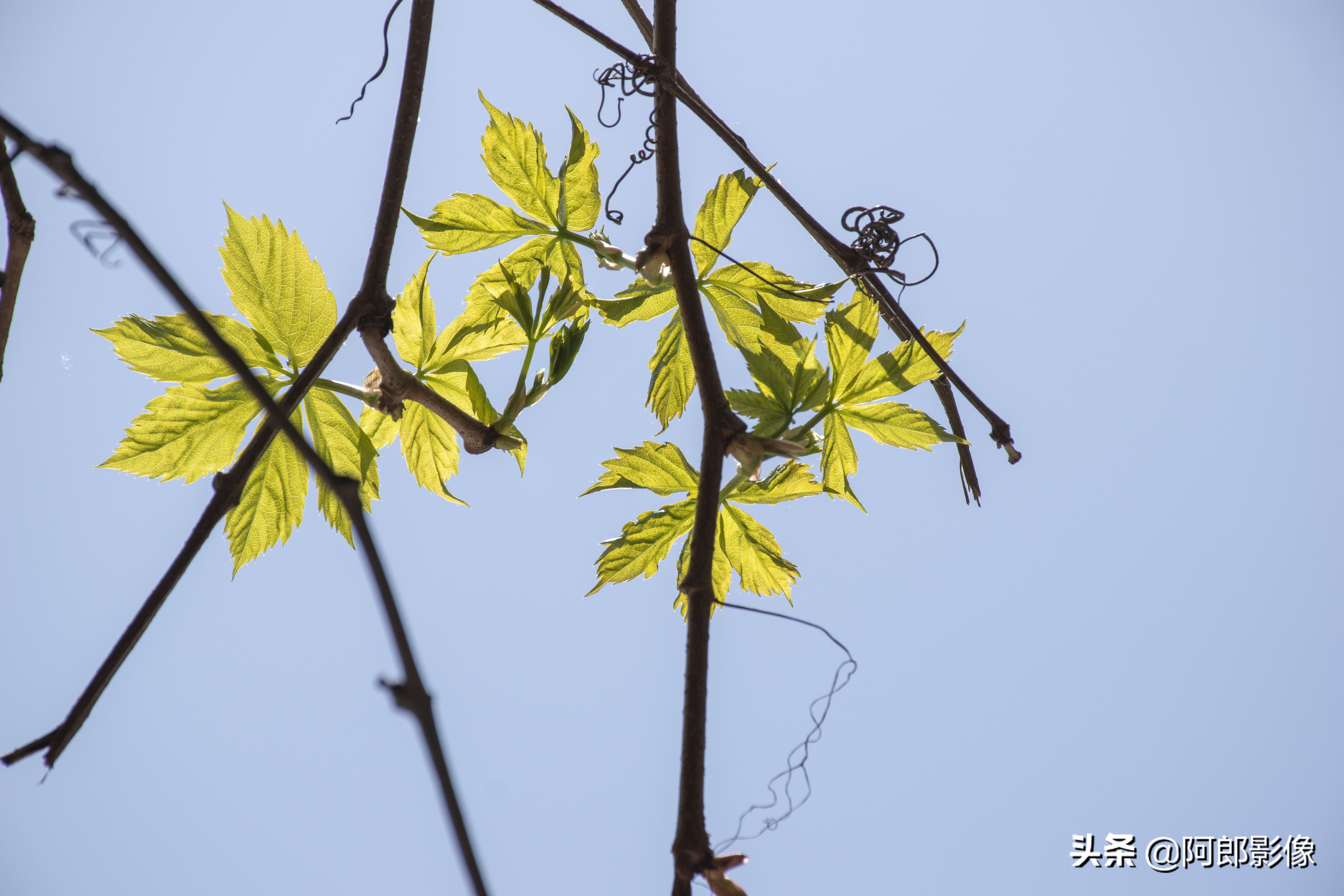 跟着阿东学摄影,跟着阿牛师傅学知识
