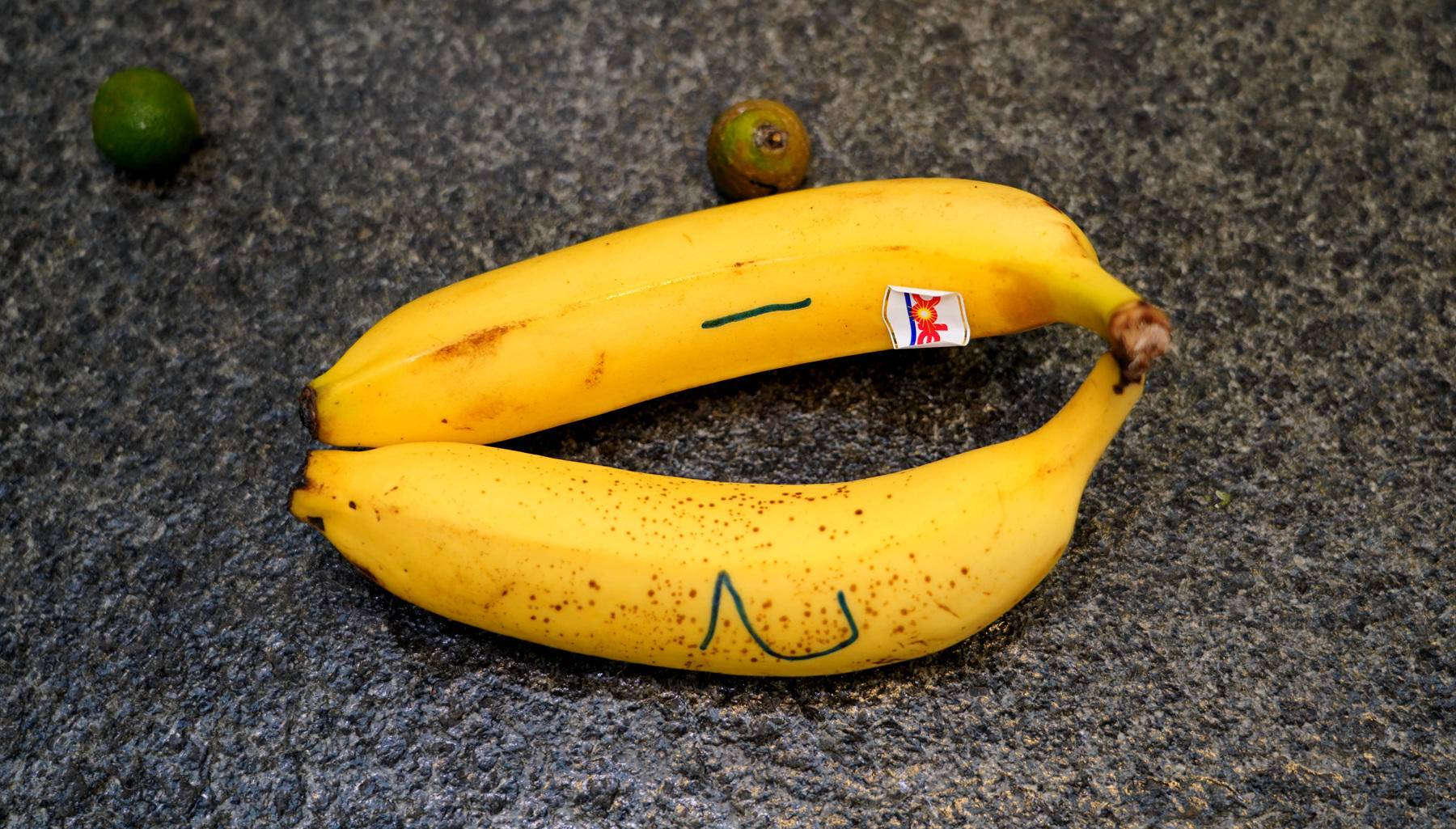 摩飞与摩飞电器有何区别,摩飞各种电器好用吗