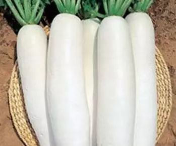 木耳减肥法一周瘦10斤,胡萝卜减肥法一周瘦20斤