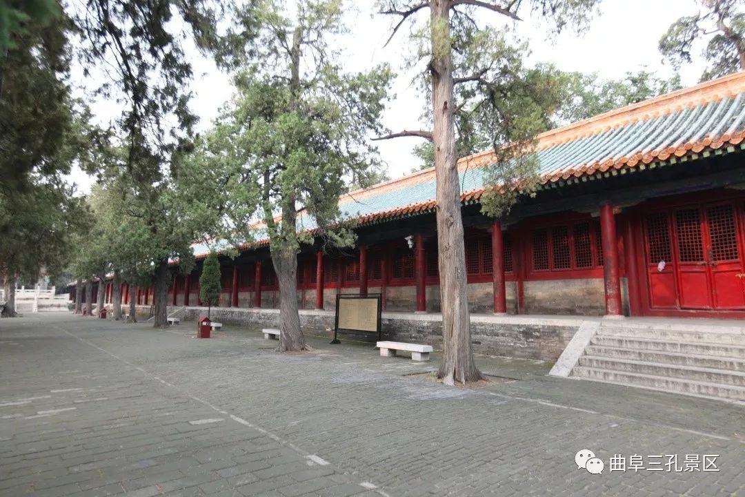 走进古圣先贤,走进孔庙第一碑成化碑