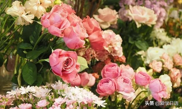 日本花店,日本花店是什么