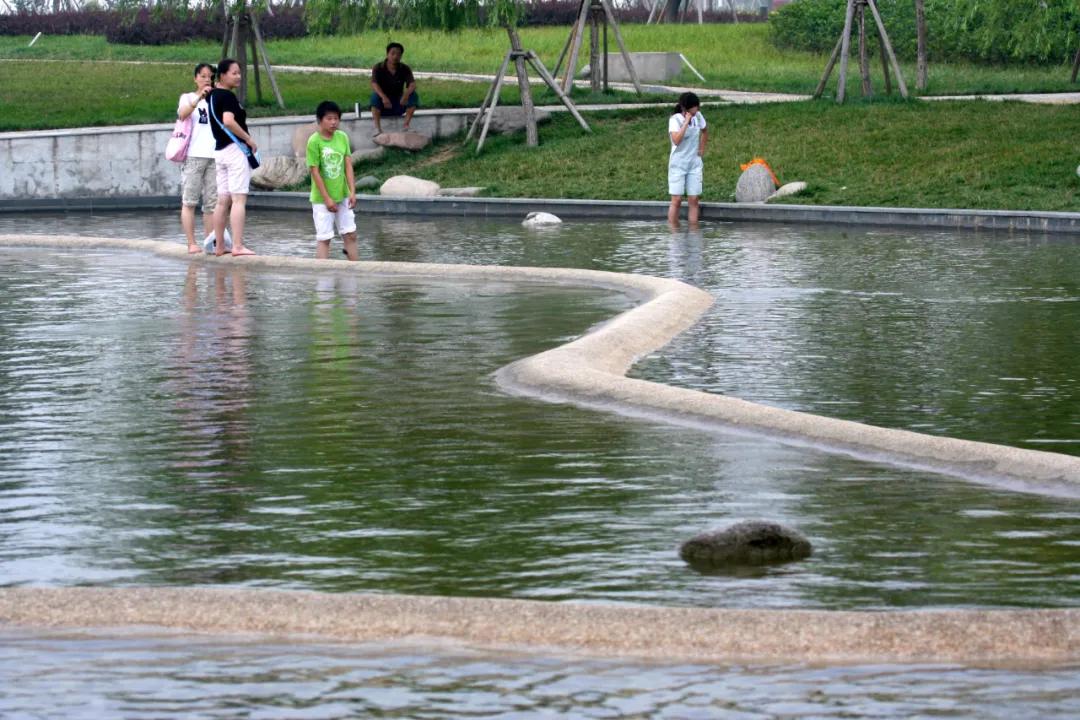 安徽省合肥市天鹅湖,安徽合肥的天鹅湖