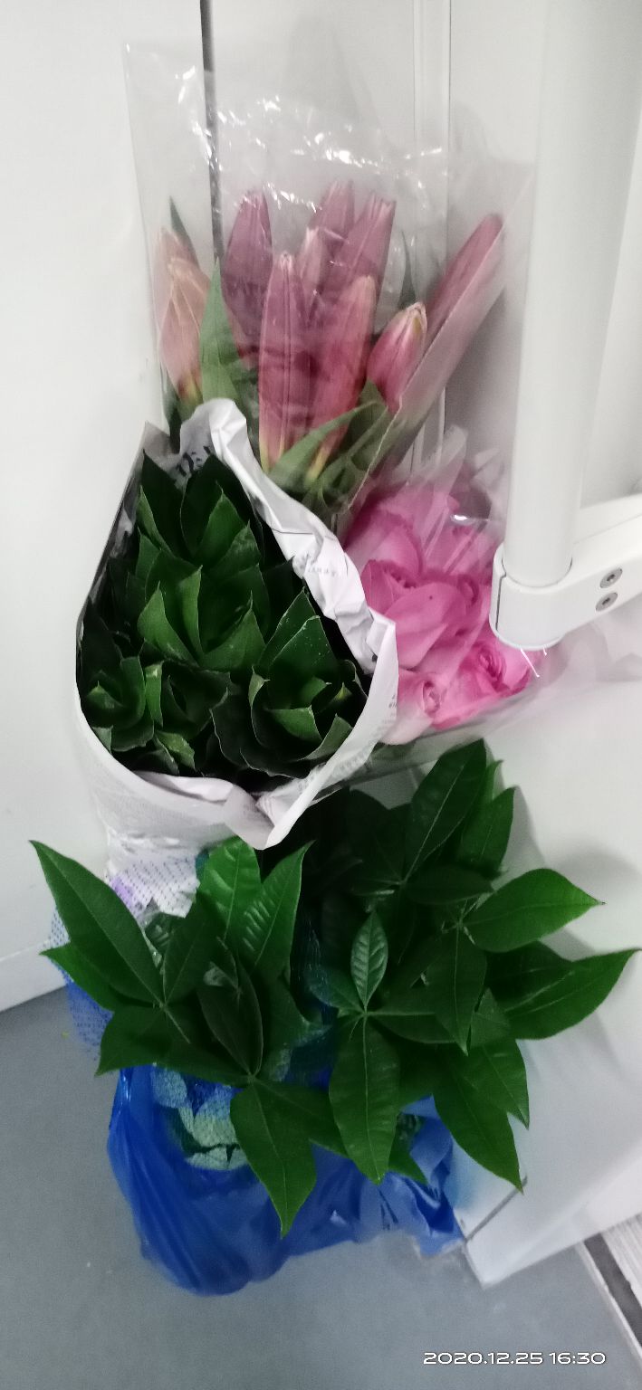 花都区岭南花卉批发市场在哪里,广州岭南花卉市场批发攻略